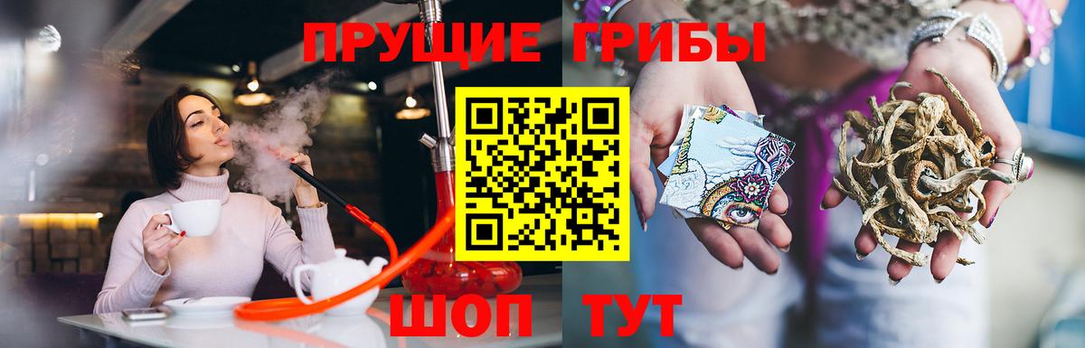 Галлюциногенные грибы мухоморы Барабинск