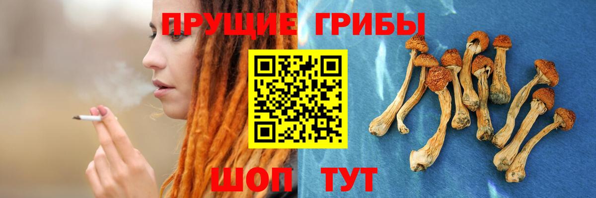 Галлюциногенные грибы мицелий  Вход с VPN  Барабинск 